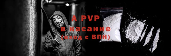 ПСИЛОЦИБИНОВЫЕ ГРИБЫ Белокуриха
