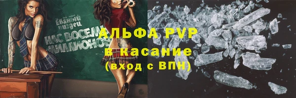ПСИЛОЦИБИНОВЫЕ ГРИБЫ Белокуриха